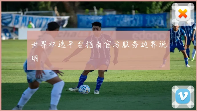 世界杯选平台指南官方服务边界说明