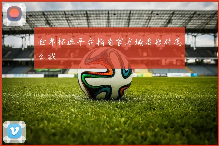 世界杯选平台指南官方域名核对怎么找