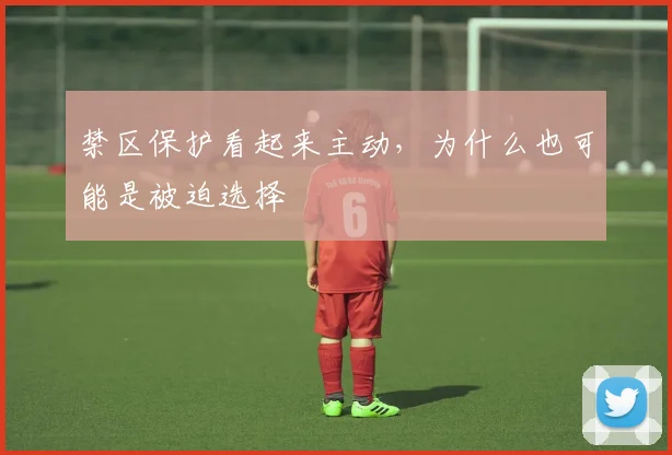 禁区保护看起来主动，为什么也可能是被迫选择