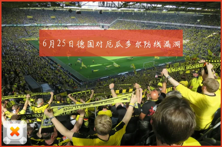 6月25日德国对厄瓜多尔防线漏洞